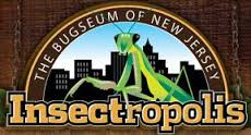 Insectropolis- The Bugseum of New Jersey