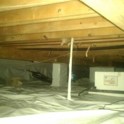 mold removal nj crawl space